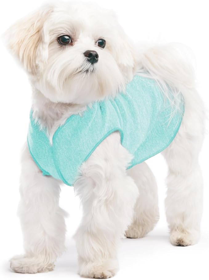 Goldpaw Dog Sun Shirt with UV Protection - Lightweight, Cooling Sun Protection Clothing for Dogs - Reduce Heat Absorption - Pet Clothes Made in the USA - Machine Washable - Size 8 - Baja Beach