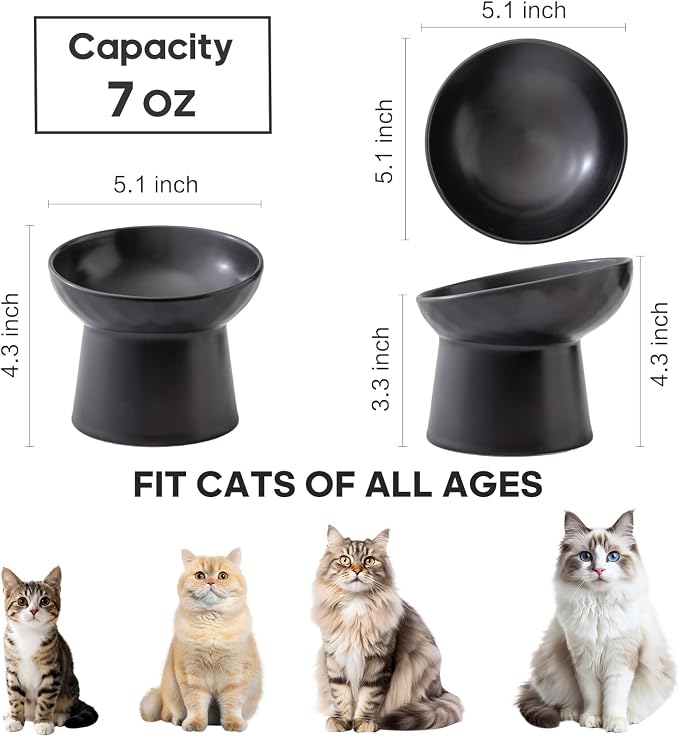 Ceramic Raised Cat Bowls - Elevated Tilted Cat Food and Water Bowls, Anti Vomiting and Protect Pets' Spines Pet Feeding Dish for Cats, Dishwasher Microwave Safe (1 x Bowl - Black)