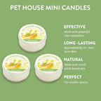 Pet House Mini Candles for Pet Odor Made with Natural Soy Wax, Plant Based, Dog and Cat Friendly Scented Candles, Juicy Mellon Pack of 3