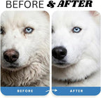 (1 Gallon) Dog Whitening Shampoo for White Dogs, Purple Dog Shampoo Whitening for Dogs White Coat, Blueberry Facial, para Perros Blancos