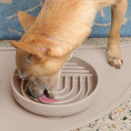Slow Feeder Dog Bowls - Small Size Silicone Slow Eating Dog Bowl for Puppies & Dogs with Suction Cup -Dishwasher-Safe, Lick Mat Design, Reduces Gulping, for All Breeds, 6”x1.25”- Tan