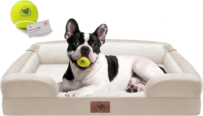 Waterproof Orthopedic Dog Bed for Medium Large Sized Dogs | Memory Foam Pet Bed Sofa with Bolster, Dog Couch with Washable Cover & Non-Slip Bottom, 30x20 Inch, Beige