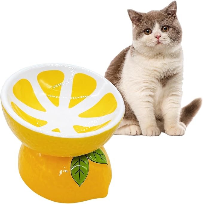 Hamiledyi Ceramic Raised Cat Bowl 5In Elevated Wide Cat Bowl for Food and Water Anti Vomiting Tilted Pet Feeder Dish for Indoor Cats and Small Dogs(Lemon)
