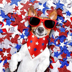 Preboun 50 Pcs Patriotic Dog Bandanas Bulk 4th of July Bandanas for Dogs Triangle Kerchief Scarf Set for Pets Independence Day Costume Photo Props Accessories Pet Shops, 25 Styles(31.5 x 21.7 x 21.7) - Image 2