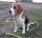 Waterproof Long Dog Leash Recall Training Lead 5 10 16 30 50 Foot for Large Medium Small Dogs Outdoor Training Walking Playing and Camping
