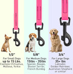 Dogline Biothane Waterproof Dog Leash 2/4/6 Ft Strong Coated Nylon Webbing with Black Hardware Odor-Proof Easy to Clean High Performance for Small or Large Dogs Made in USA, Passionfruit Pink