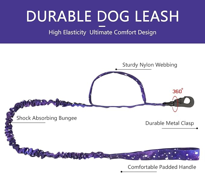 DAGANXI Tactical Dog Collar, Adjustable Military Training Nylon Dog Collar with Control Handle and Heavy Metal Buckle for Medium and Large Dogs, with Patches and Airtags Case (XL, Purple Sky-Set)