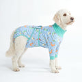 Spark Paws Dog Surgery Recovery Suit – Dog Recovery Suit After Surgery, Anti-Lick Dog Onesie, Abdominal Wound Protector, Soft Cone Alternative for Spay Neuter Male Female Pet Recovery - Dragons - 2XL