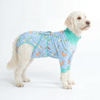 Spark Paws Dog Surgery Recovery Suit – Dog Recovery Suit After Surgery, Anti-Lick Dog Onesie, Abdominal Wound Protector, Soft Cone Alternative for Spay Neuter Male Female Pet Recovery - Dragons - 2XL