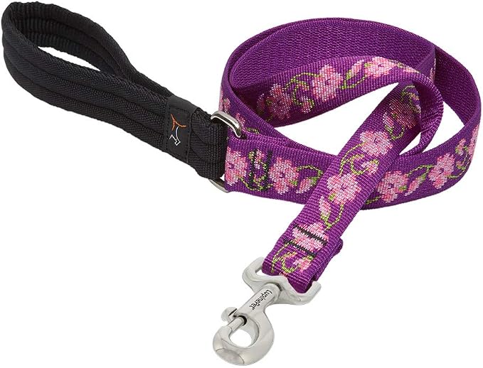 LupinePet Originals 1" Rose Garden 4-Foot Padded Handle Leash for Medium and Larger Dogs