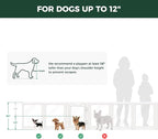 FXW AuraSpace Clear Acrylic Indoor Dog Playpen, 24" H, 10 Panels, White | Open View, Modern Home Fit, No Climbing Bars, Tool-Free Setup, For Puppies & Small Dogs