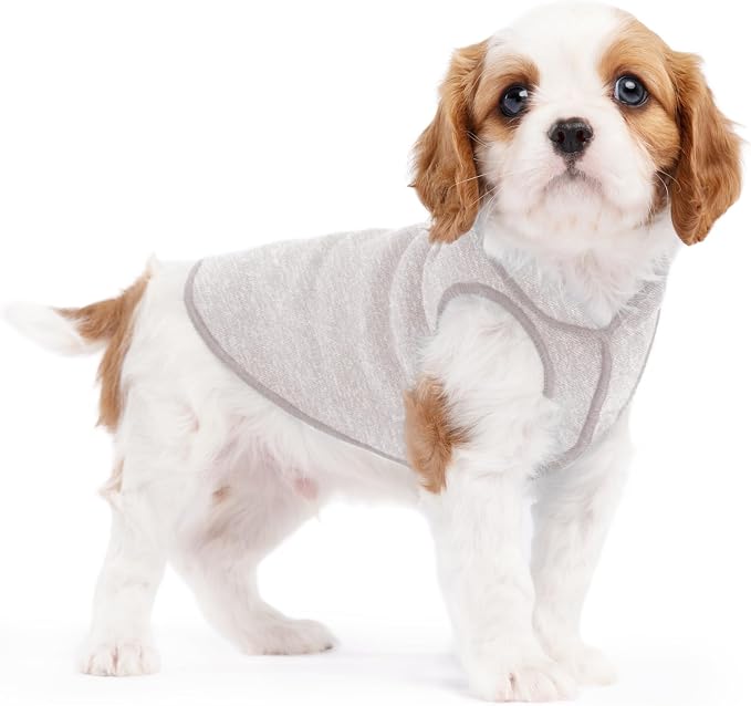 Goldpaw Dog Sun Shirt with UV Protection - Lightweight, Cooling Sun Protection Clothing for Dogs - Reduce Heat Absorption - Pet Clothes Made in the USA - Machine Washable - Size 4 - Pebble Grey