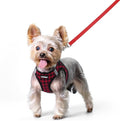 rabbitgoo Dog Harness Small Sized and Leash Set, Step-in Puppy Pet Vest | Light, Soft, Breathable Air Mesh, Easy on and Remove with Hook & Loop, Secure Reflective for Walking, Red Check XXS