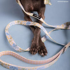 Lucy & Co. Sunshine and Daffodils Dog Leash, Durable Matching Dog Lead with Heavy Duty Hardware, Large