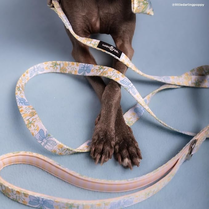 Lucy & Co. Sunshine and Daffodils Dog Leash, Durable Matching Dog Lead with Heavy Duty Hardware, Large