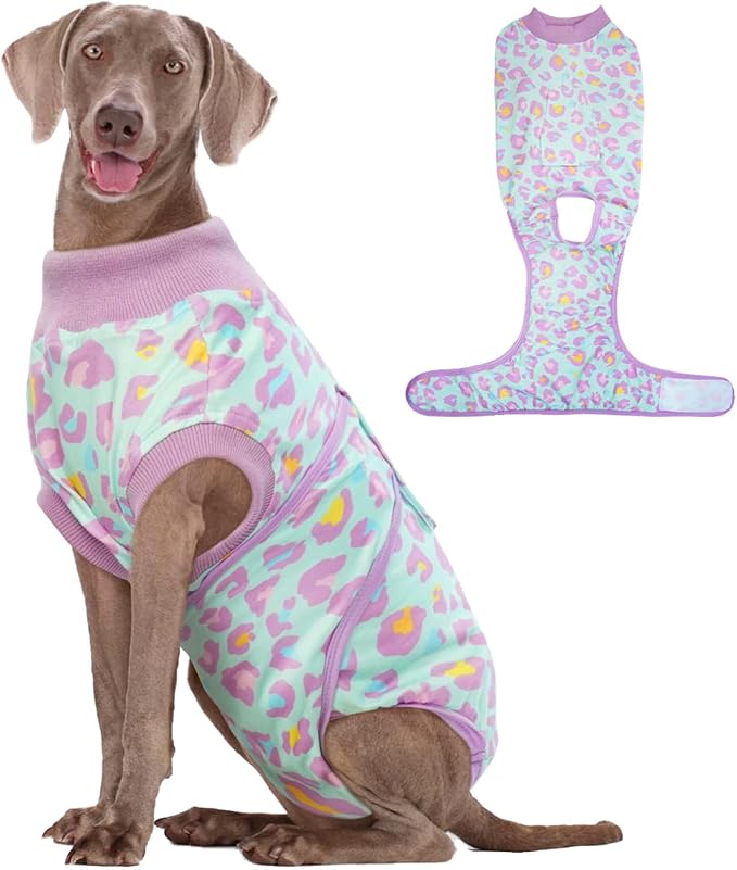 Kuoser Dog Recovery Suit After Surgery, Spay Neuter Surgical Suit for Dogs | Post Surgery Anti-Licking Dog Onesie Protects Wounds and Incisions, E-Collar & Cone Alternative Bodysuit for Female Male Dogs