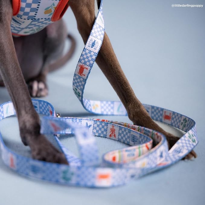 Lucy & Co. Sunny in Sicily Dog Leash, Durable Matching Dog Lead with Heavy Duty Hardware, Small