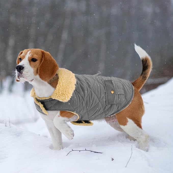 Large Dog Coat, Warm Jacket for Extra-Large Dogs, Dog Winter Coat, Pet Windproof Cold Weather Coats Snow Jacket Pet Clothes, Golden Retriever, Labrador Retriever, Husky, Grey L