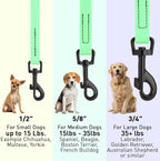 Dogline Biothane Waterproof Dog Leash Strong Coated Nylon Webbing with Black Hardware Odor-Proof Easy to Clean High Performance for Small or Large Dogs Made in USA 4 or 6 ft Lead, Sea Foam Green