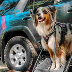 AUROTH Tactical Dog Harness for Large Dogs No Pull Adjustable Pet Harness Reflective Working Training Easy Control Pet Vest Military Service Dog Harnesses Purple Camo XXL