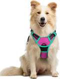 rabbitgoo Dog Harness, No Pull Medium Sized with 2 Leash Clips, Pet Vest | No Choke with Handle, Adjustable Soft Padded, Reflective, Easy Control for Walking, Hot Pink & Turquoise, Medium