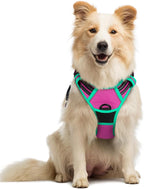 rabbitgoo Dog Harness, No Pull Medium Sized with 2 Leash Clips, Pet Vest | No Choke with Handle, Adjustable Soft Padded, Reflective, Easy Control for Walking, Hot Pink & Turquoise, Medium