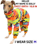 D Doggy Star Italian Greyhound Sweater Turtleneck Outfit Nordic Fleece Onesie Clothes Whippet for Dog Coat (2XL,Orange Nordic)