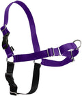 PetSafe Easy Walk Harness for Dogs - Pull-Free Walks - Patented Martingale Loop Design - Front Chest Leash Attachment - Comfort Straps - Breathable Harness Design - Medium, Deep Purple/Black