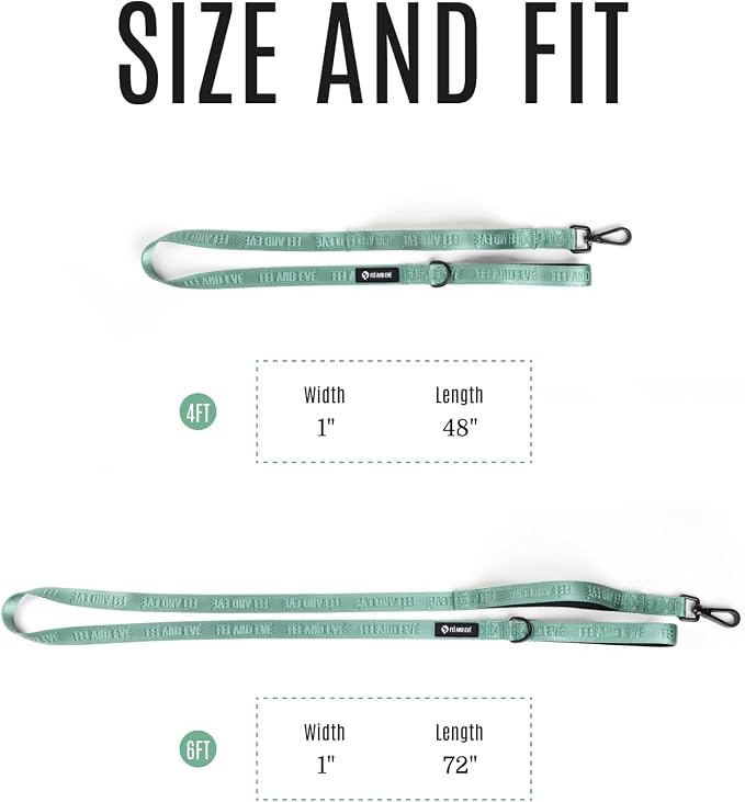 Fei & Eve Classic Dog Leash | Soft-Touch 210D Nylon, Dual Padded Handles, Traffic Handle, Tangle-Free, Heavy Duty, Glacier Green, 4FT