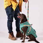 Generic Pawlook Dog Raincoat with Chest Leash and Collar, Reusable Waterproof Pet Coat for Small Dogs, Medium Dogs, Large Dogs (Green, X-Large)