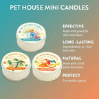 Mini Scented Candles for Pet Odor Made with Natural Soy Wax, Plant Based, Pet Friendly Candles, Summer Mix Variety Pack of 3