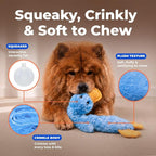 Best Pet Supplies Interactive Squeaky Dog Chew Toy, Ideal Dog Toys for Chewers, Small, Medium & Large Dogs, and Fetch Lovers - Crinkle Duck (Blue), Large