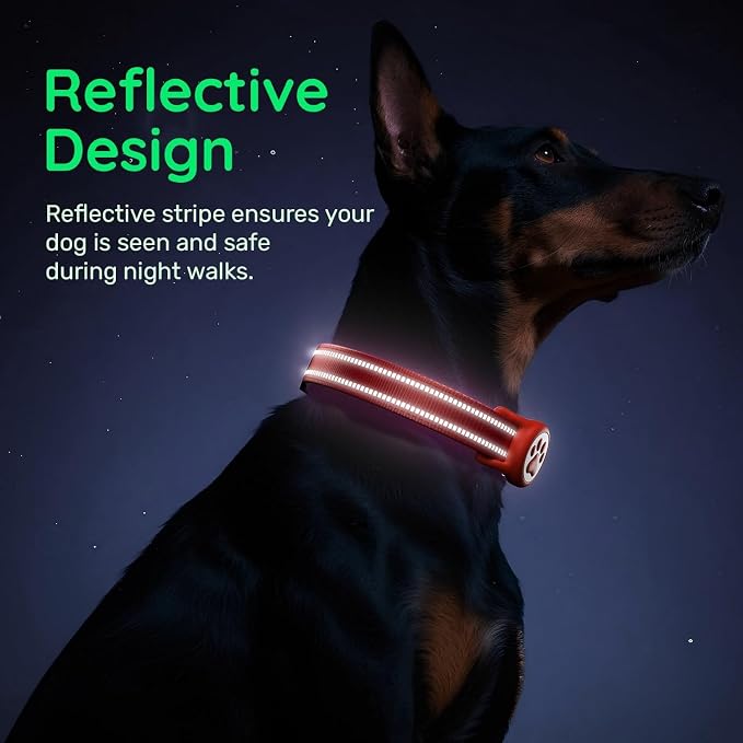 Airtag Dog Collar, Reflective Ultra-Durable Nylon Padded with QR Buckle & IP68 Waterproof Air Tag Holder Compatible for Apple AirTag, Comfortable for Small Medium Large Dogs (Red,XL)