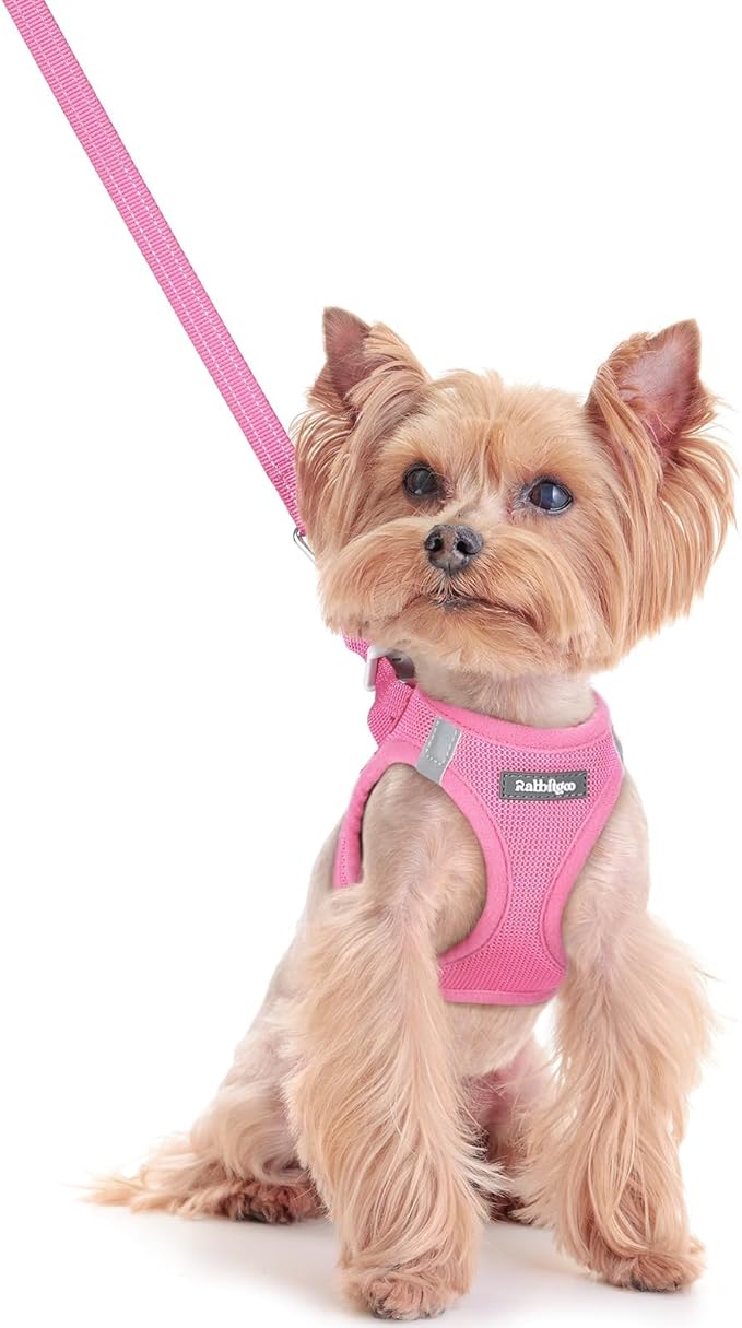 rabbitgoo Dog Harness Small Sized and Leash Set, Step-in Puppy Pet Vest | Light, Soft, Breathable Air Mesh, Easy on and Remove with Hook & Loop, Secure Reflective for Walking, Light Pink XXS