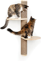Cat Climbing Wall System – Modern Floating Shelves & Perches for Cats - Sunrise Steps | Ascentials by FurHaven