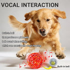 Mankoda Durable Dog Toy Ball, 5" Big Ball for Aggressive Chewers - Red | Hollow Design, Bouncing & Lightweight, ETPU Non-Toxic Chewing, Built-in Bell, Dog Herding Toy for Medium / Large Dogs