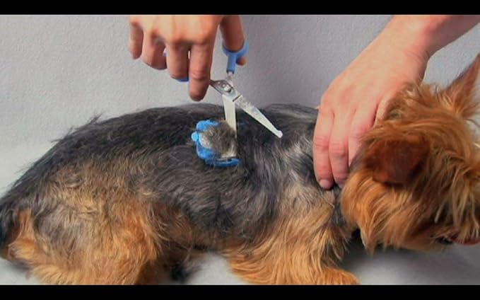 Silent Pet Grooming Kit for Dogs, Cats and All Pet Grooming - A Quiet Alternative to Electric Clippers for Sensitive Pets (Right-Handed Blue)