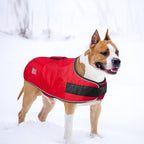 BEAUTYZOO Dog Winter Coat for X-Large Dogs Waterproof, Warm Reflective Great Dane Oxford Canvas Jacket, Fleece Dog Cold Weather Coats Windproof for Female Male Dogs, Red XL