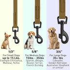 Dogline Biothane Waterproof Dog Leash Strong Coated Nylon Webbing with Black Hardware Odor-Proof Easy to Clean High Performance for Small or Large Dogs Made in USA 4 or 6 ft Lead, Coyote Brown