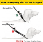 Fida Durable Slip Lead Dog Leash, 6 FT x 3/8" Heavy Duty Comfortable Strong Rope Slip Lead for Small Dogs and Puppies, No Pull Pet Training Leash with Highly Reflective(3/8", Grey)