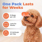 Best Pet Supplies Poop Bags for Dogs - Orange, 150 Count | Scented, Leak-proof, Easy-Tear perforations, 15 Thick Bags per roll, Outdoor Walking & Travel, Fits Standard Holders
