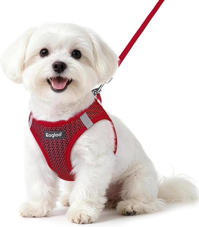 Eagloo Small Dog Harness and Leash Set, Step in Small Sized Puppy Pet Vest | Light, Soft, Breathable Air Mesh, Easy on and off with Hook & Loop, Reflective for Safe Walking, Red, S