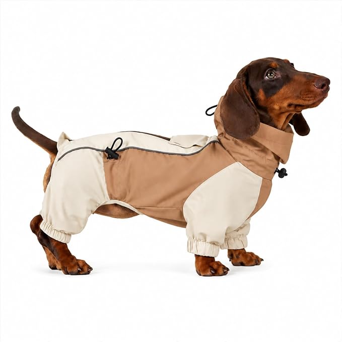 Dachshund Dog Raincoat with Legs, Waterproof Full Body Jacket, Hooded Outdoor Windbreaker for Small & Medium Dogs, Mini Dachshund Puppy Coat (Brown,M(13-17 lbs))