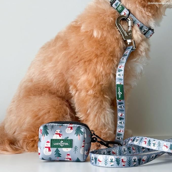 Lucy & Co. 5 Foot Designer Dog Leash for Small, Medium or Big Dogs or Puppies Puppy – Pet Accessories & Supplies- Large-Gray & White Snowman