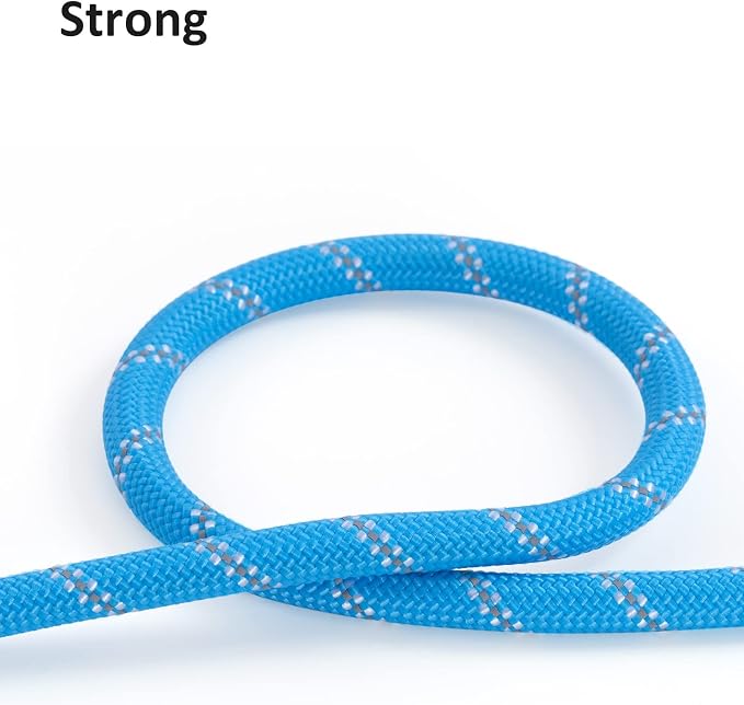 Long Dog Leash for Training - 16FT/30FT/50FT/100FT, Reflective Rope Check Cord, Heavy Duty for Large, Medium, Small Dogs - Walking, Playing, Camping, Yard