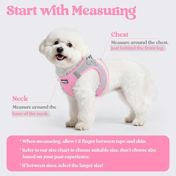 rabbitgoo Dog Harness Small Sized and Leash Set, Step-in Puppy Pet Vest | Light, Soft, Breathable Air Mesh, Easy on and Remove with Hook & Loop, Secure Reflective for Walking, Light Pink & Gray XXS