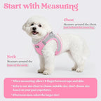 rabbitgoo Dog Harness Small Sized and Leash Set, Step-in Puppy Pet Vest | Light, Soft, Breathable Air Mesh, Easy on and Remove with Hook & Loop, Secure Reflective for Walking, Light Pink & Gray XXS