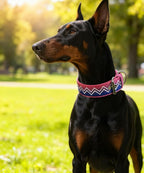 Dog Collar for Large Dogs,2 in Wide Heavy Duty,Pressure-Relief Padded, B-M | Professional Protection for Large and Giant Breeds,Handle for Control,Stainless Steel Buckle Ultra Safety,20-23 in