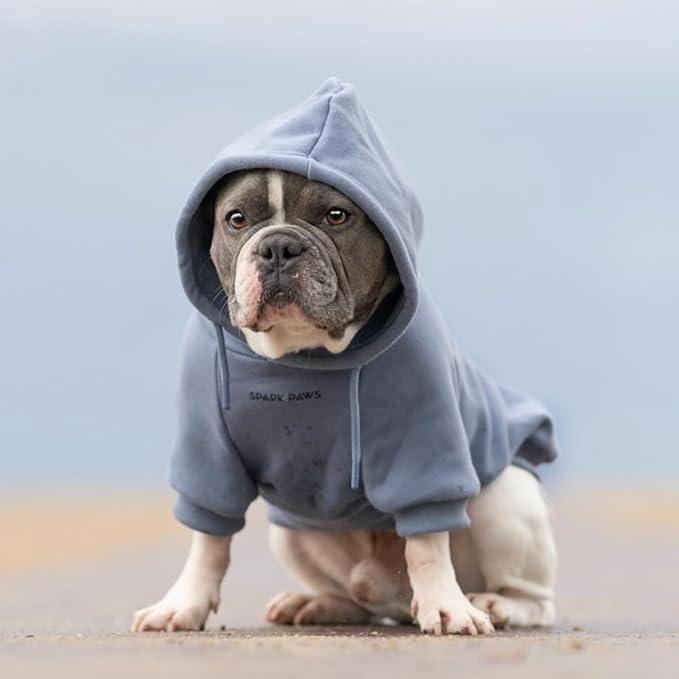 Spark Paws Dog Hoodie – Premium Dog Sweater for Small, Medium, and Large Dogs | Warm Outfits for French Bulldogs, Pitbull, Puppy, Winter Jacket Alternative - Slate Blue - 3XL