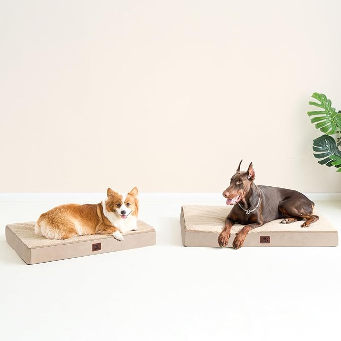 EHEYCIGA Orthopedic Dog Bed Large with Removable Washable Cover,Khaki,47x29 | Egg Crate Foam Support,Durable Oxford fabric,Non-Slip Bottom,Machine Washable,Soft Waterproof Plush Pet Bed Mat For Crate